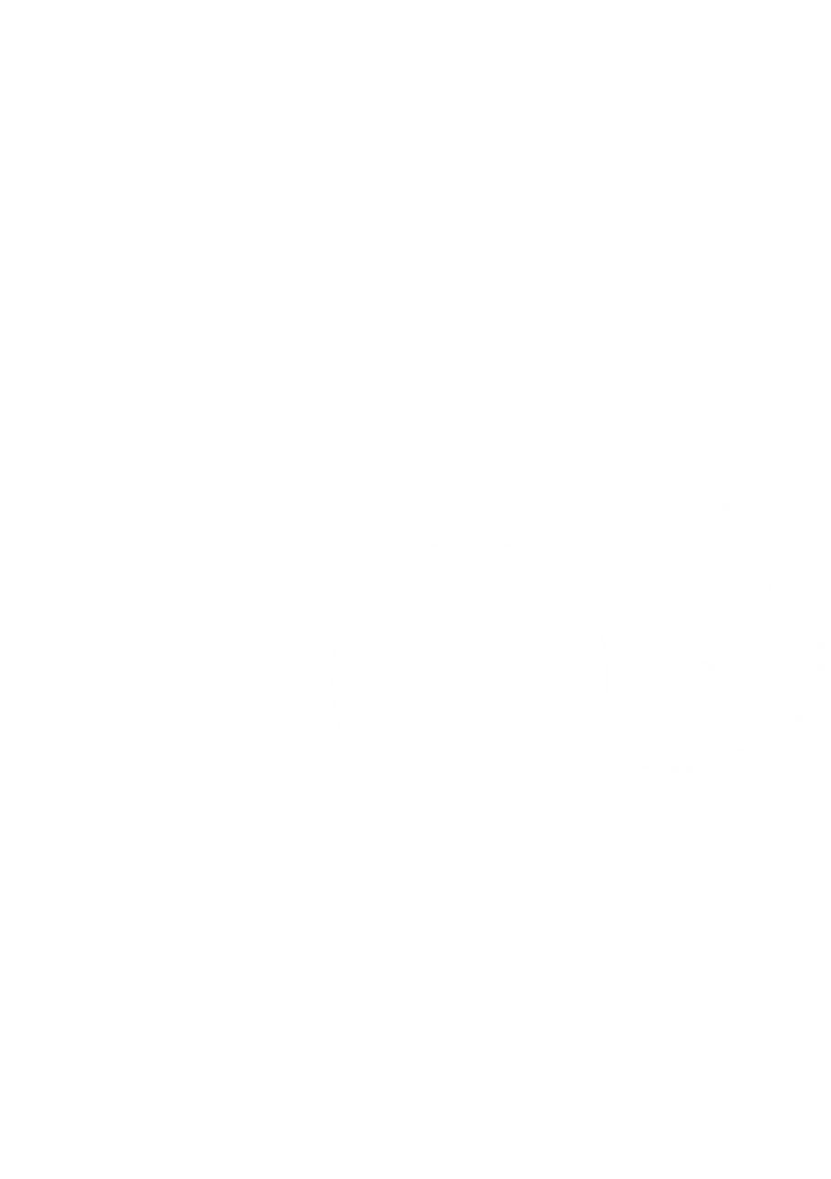 Theo's Foundation Logo
